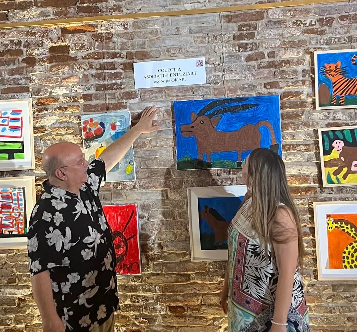 ART IN/SANE. Culture, Mental Health and Social Inclusion